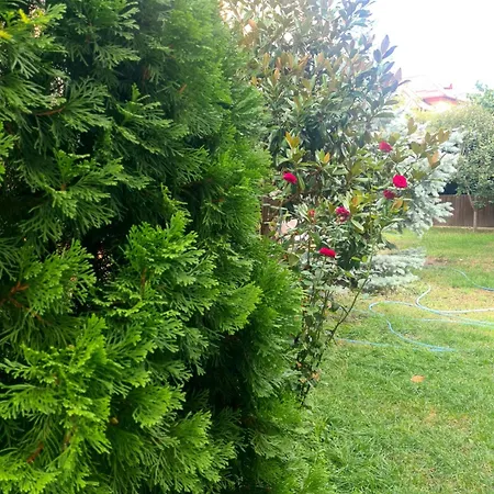 Jolie Boutique Hotel