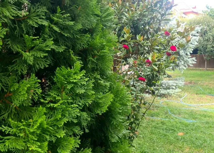 Jolie Boutique Hotell